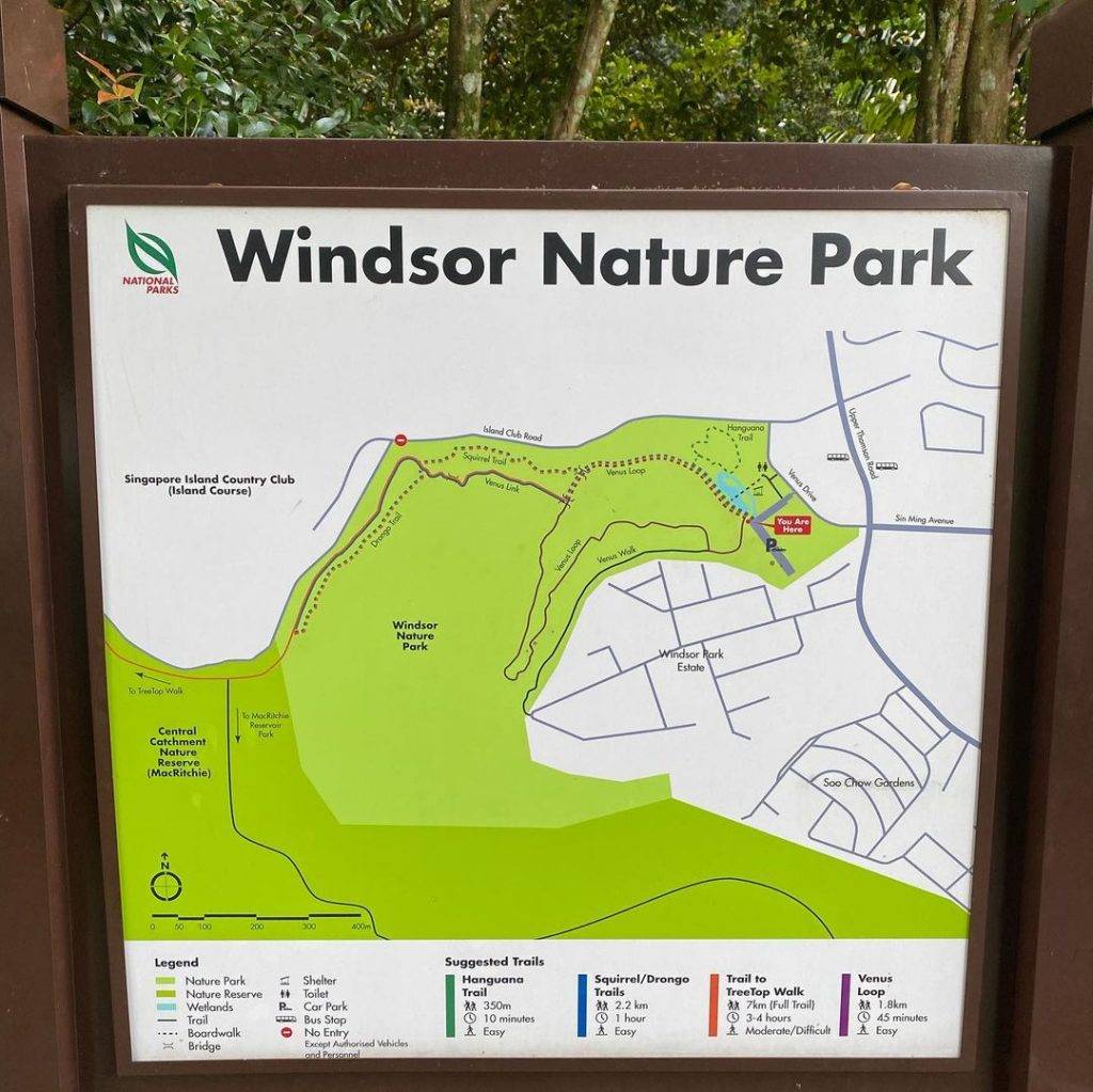 徒步吸氧去🍃Windsor Nature Park濕地公園，隱秘寶藏仙境✨ 3段徒步路徑、淡水溪流、沼澤棲息地