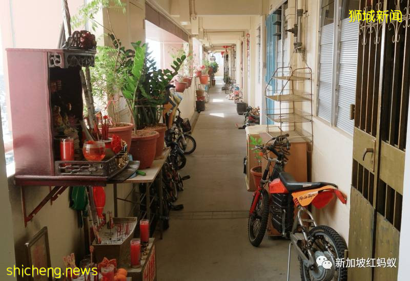 疫情期间我们一家三口在狮城当包裹送货员 才知道没那么简单