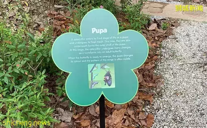 免費！新加坡最適合娃的公園，蝴蝶迷宮、沙灘小灣、瀑布、滑梯秋千