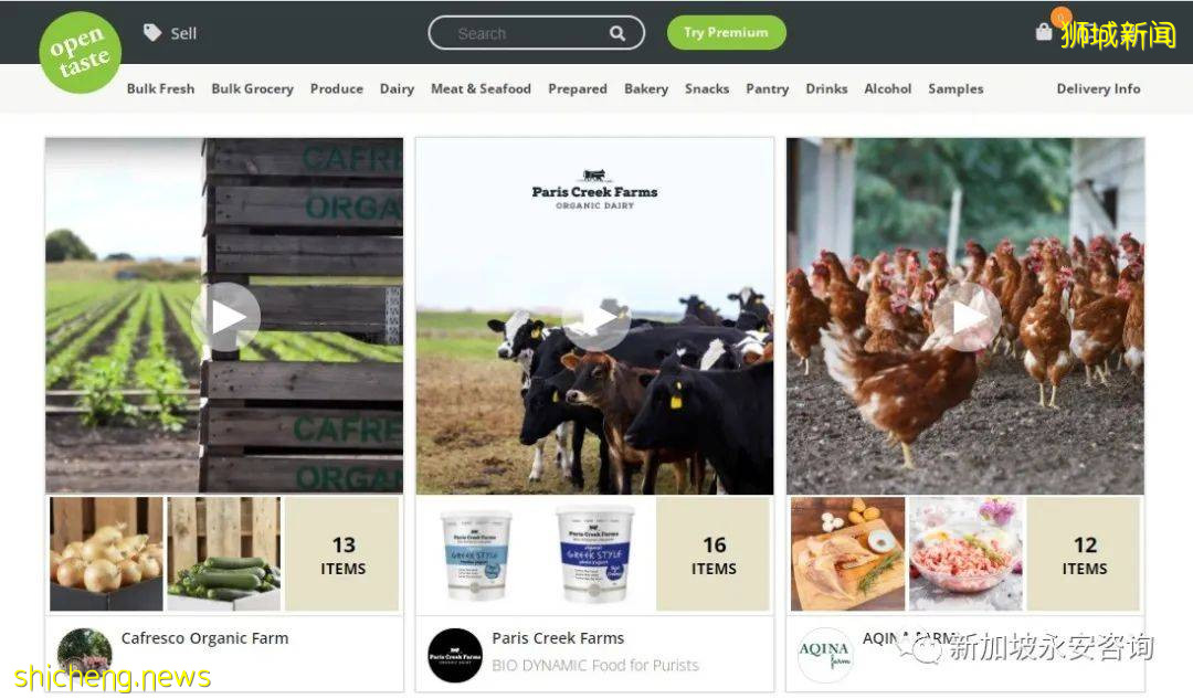 新加坡電商大盤點:“疫”路相伴,百家爭鳴