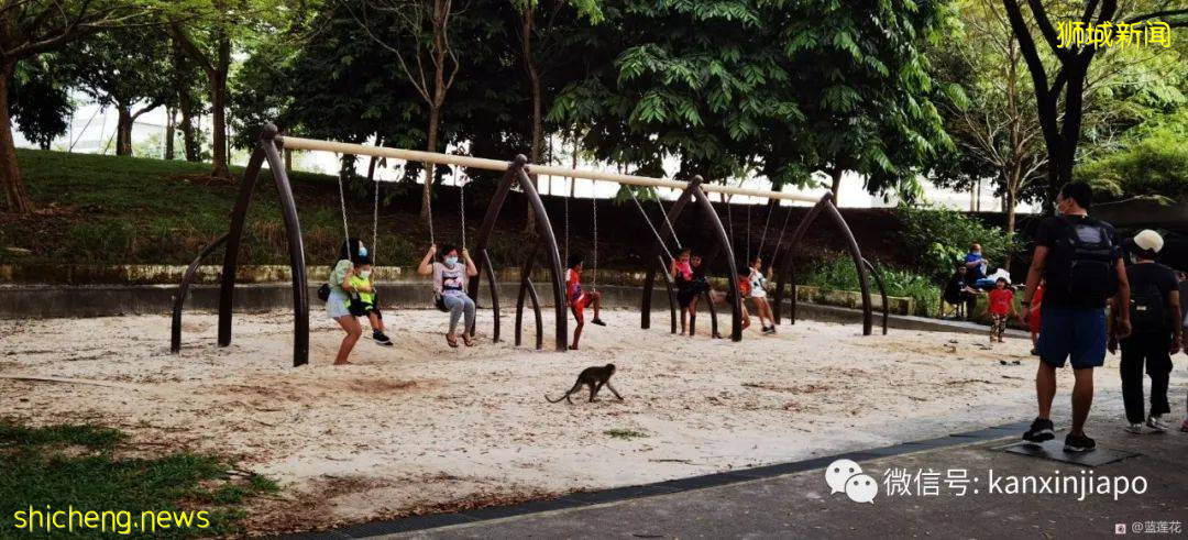遛娃圣地海军部公园,超多大滑梯,大人孩子一起嗨