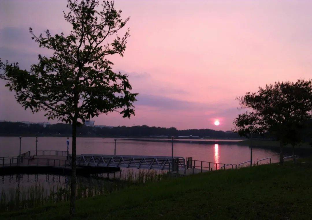 今年跨年去哪裏？2021新加坡跨年煙火最全觀看攻略