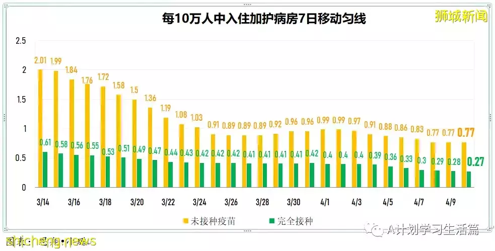 新增2568起，住院病患還有339人；新加坡冠病疫情持續好轉