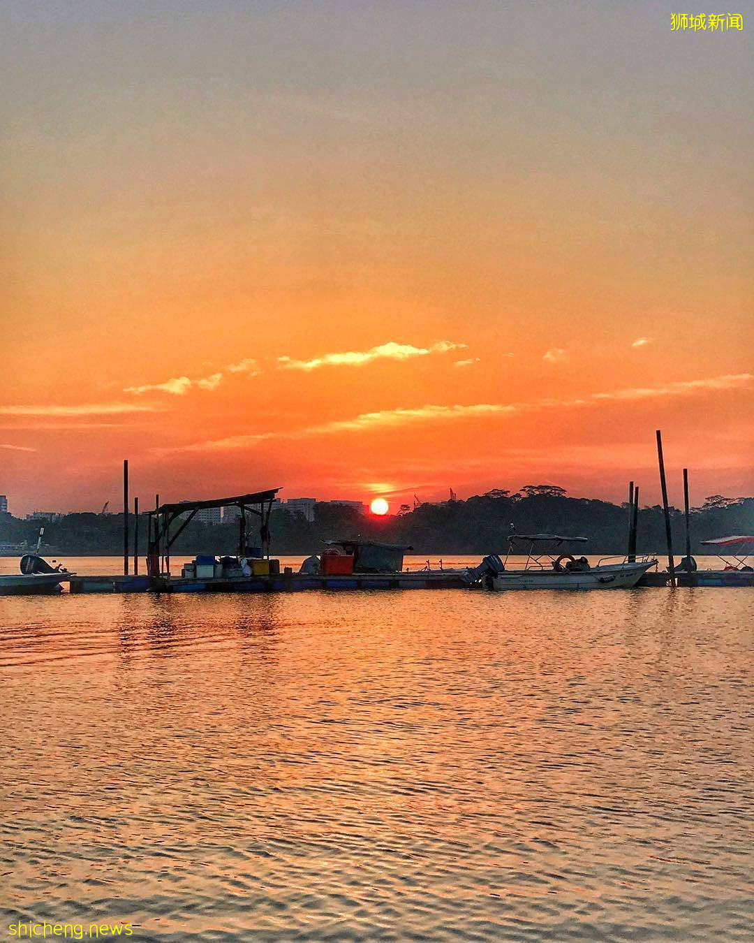 “Jenal Jetty”新加坡最后一个渔村!无水电、无网络🌐不开放给公众进入、只能在义顺水坝遥望😭