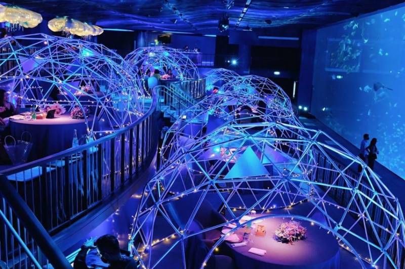 聖淘沙S.E.A.海洋館餐廳，聖誕節主題“深藍夜宴”！夢幻圓頂冰屋、探索迷人深海🐋 來一份浪漫的限定晚餐