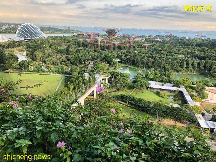 爆笑！新加坡的“凡爾賽”朋友圈！太有趣了