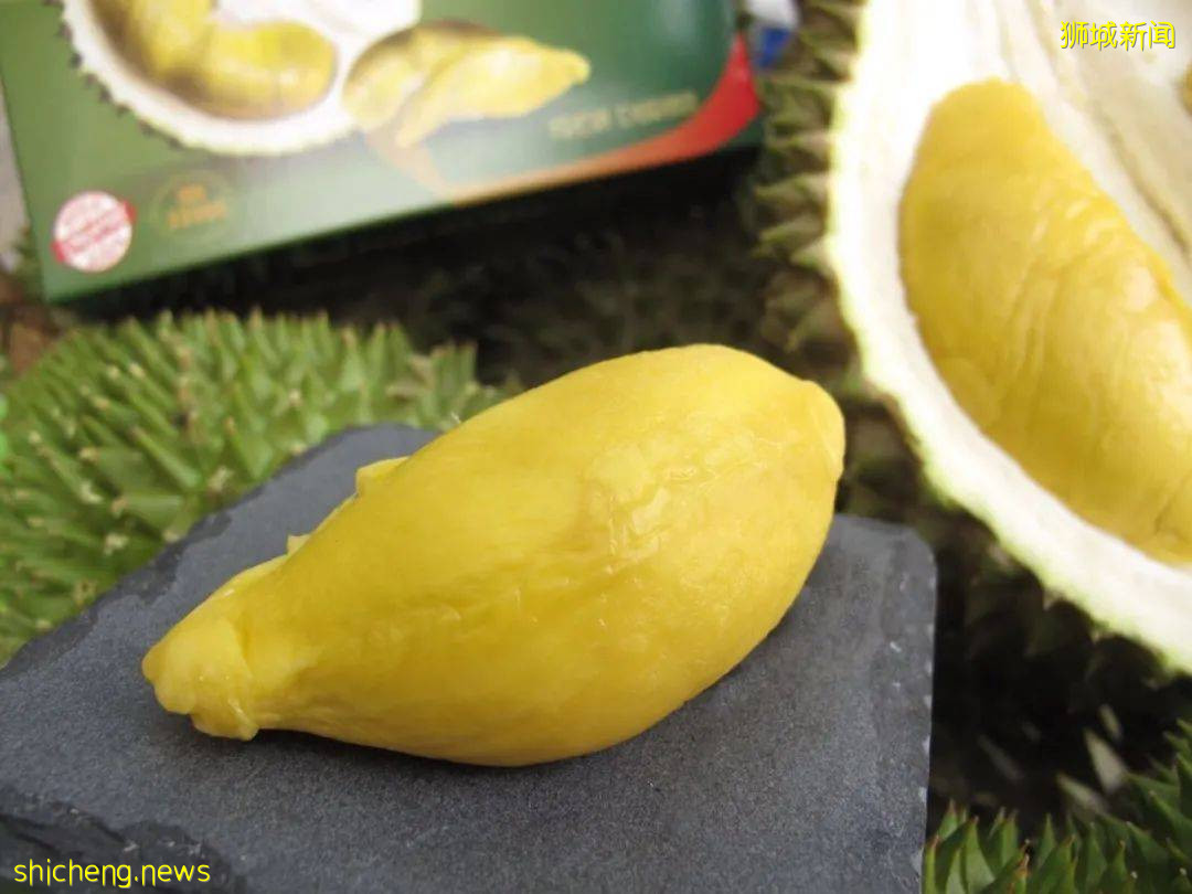 榴梿季到!泰國和馬來西亞的榴梿誰家的最好吃