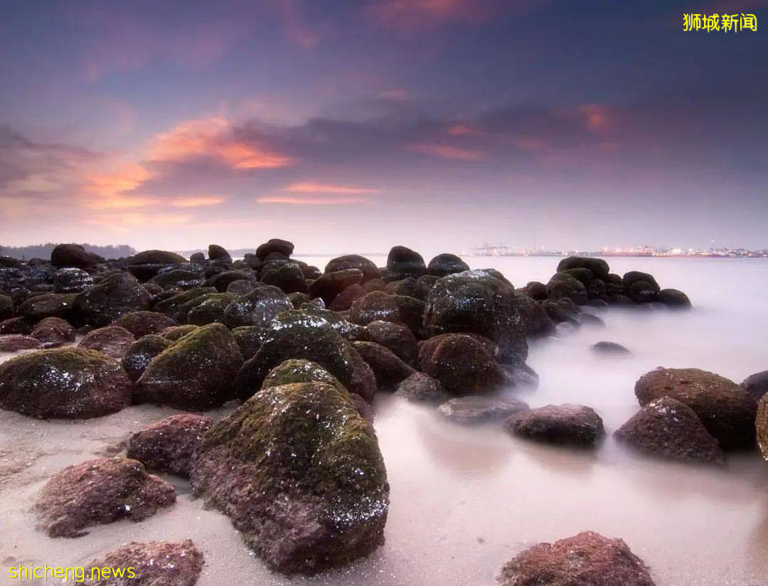 新加坡超棒的4個海灘，遛娃、放風筝、趕海、品美食