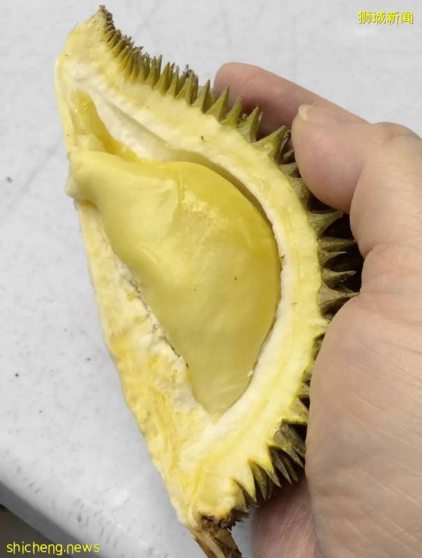 新加坡榴梿全攻略！實拍挑戰芥末和燒烤榴梿！太刺激了