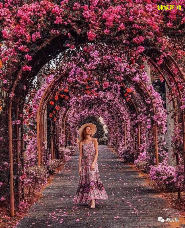 新加坡著名风景都有哪些值得一看