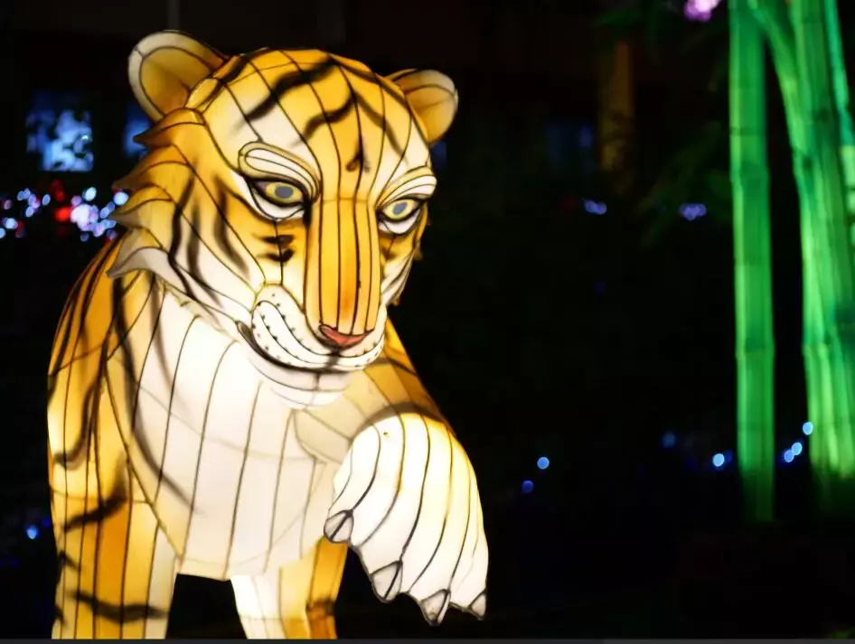 新加坡今年的“虎”點“彪”,居然“妩媚”地對我笑