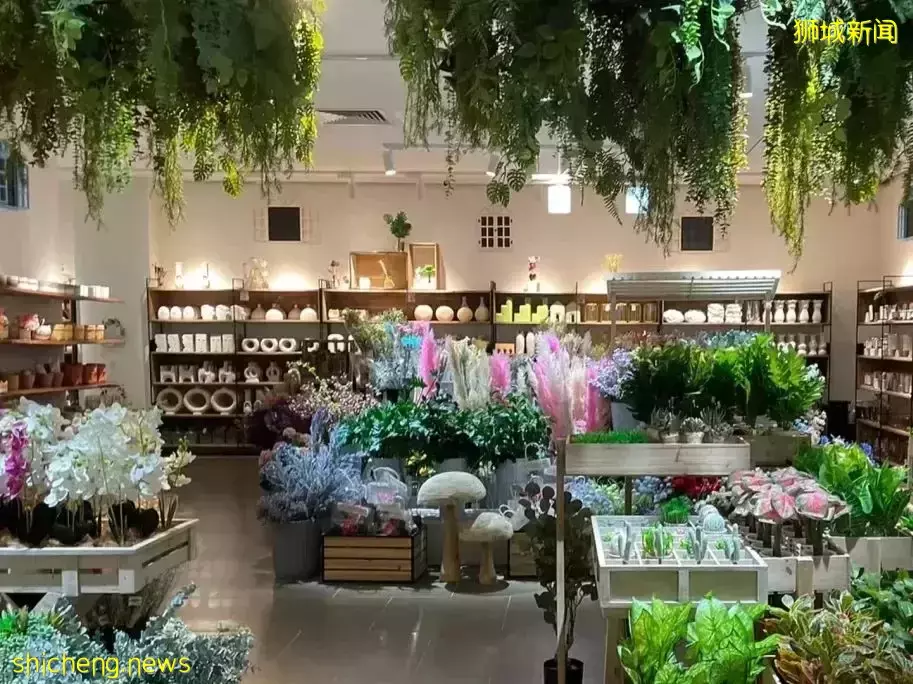 新加坡寶藏家居旗艦店!整整2層,數千種好物,好逛又便宜