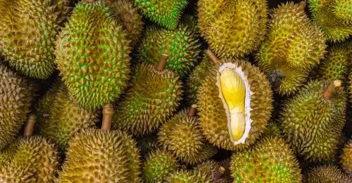 今年榴梿更便宜啦!天气有利+榴梿大丰收,所以价格也降下去啦