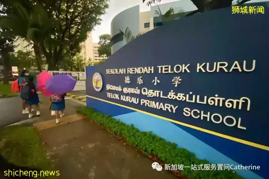 想进政府学校的看过来:新加坡学生的升学途径