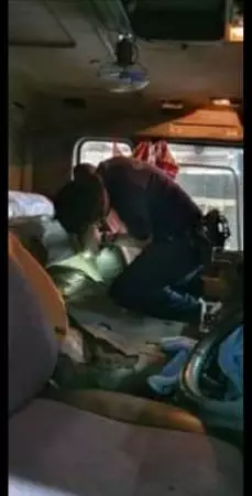 载混凝土进新加坡 顺道走私13只猫狗