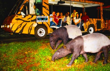 坡島夜生活出行指南！90s旱冰Disco club、室內mini高爾夫bar、高能版密室逃脫等你來玩