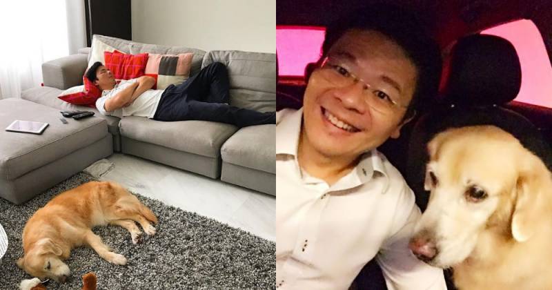 新奇!新加坡部長間流行做“俯臥撐”,女部長也來挑戰