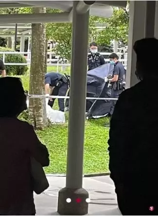 阿公胸口受傷倒斃家中 14歲孫女橫屍組屋樓下