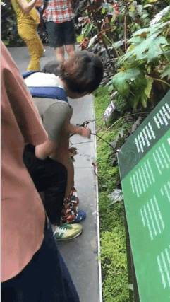 游客孩子新加坡樟宜机场小便惹争议，凭҈什҈么҈说是中国游客