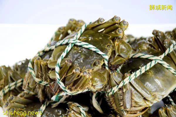 铛铛铛！萬衆期待的蟹中“小鮮肉”，舌尖六月黃大閘蟹登陸獅城啦
