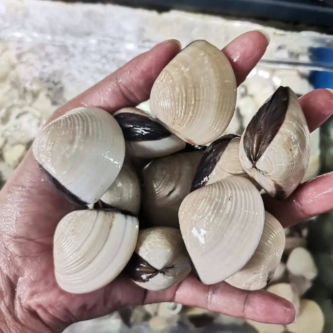 八鲜汇集,鲜闹新春 新加坡精选海鲜大优惠