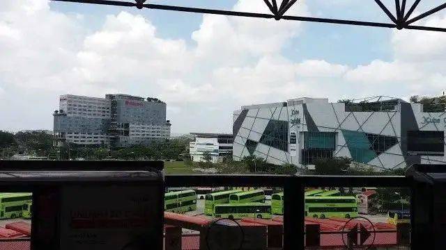 新加坡家長,如何培養孩子閱讀習慣