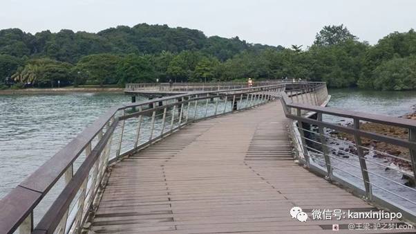 網友親測!新加坡十條經典徒步線路大推薦