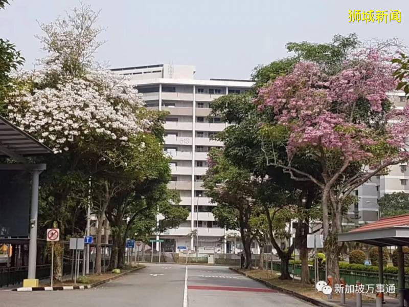 新加坡的“四季”，富有南洋風情的人間煙火氣