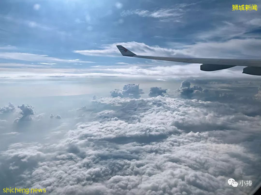 新加坡 不一样的风情