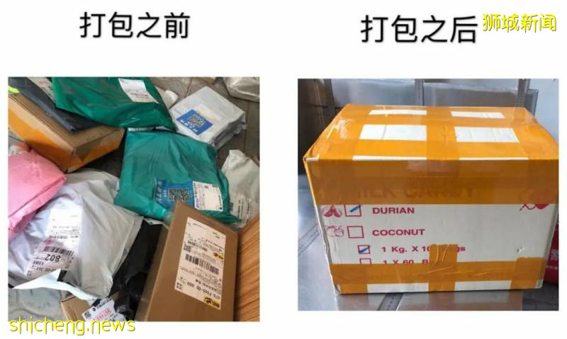 中国至新加坡物流,10人民币每公斤