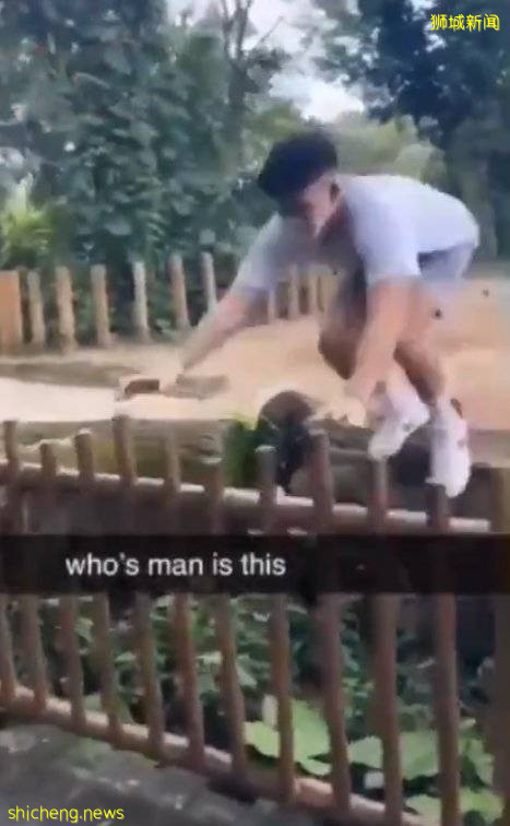 青年虐死青蛙 法庭发拘捕令