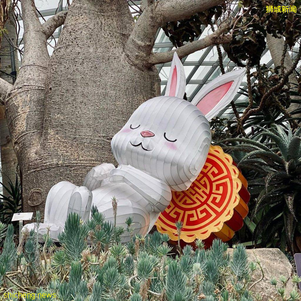 滨海湾花园2021中秋节灯展来了!擎天树挂70多盏悬浮天灯🏮 9月15日起开放,免费入场赏灯🆓