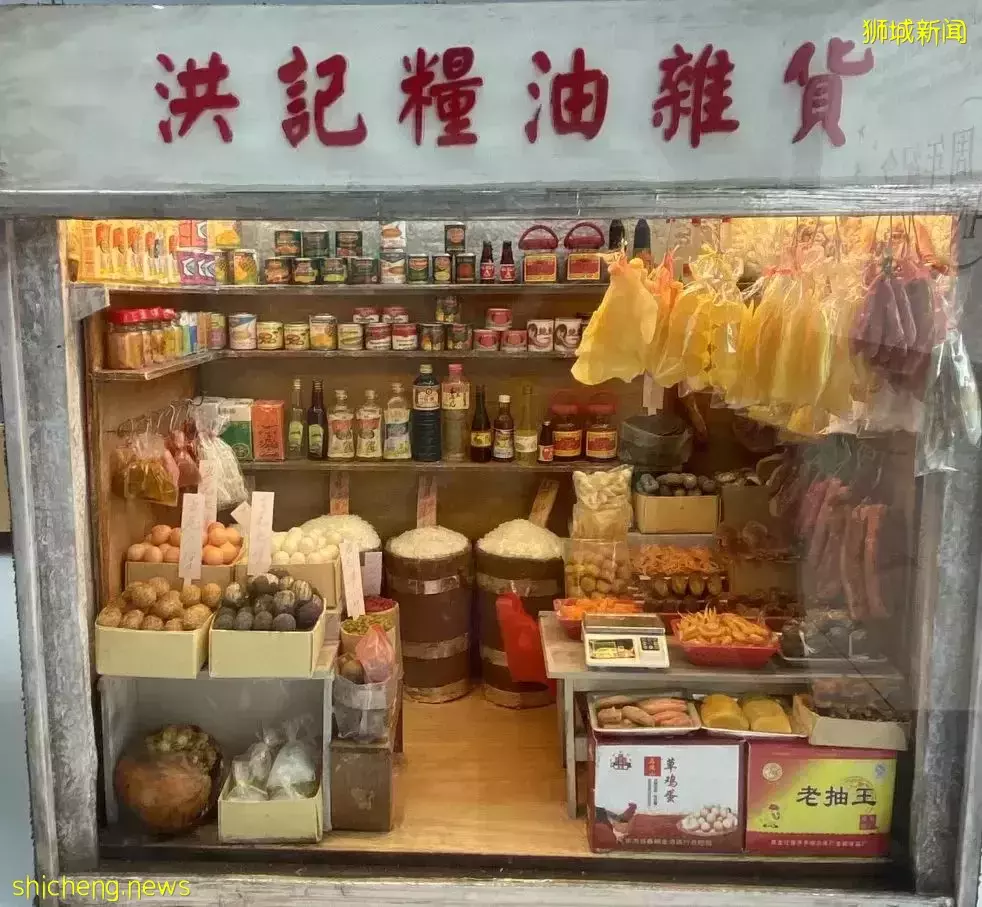 “細看香港”微觀藝術展亮相新加坡