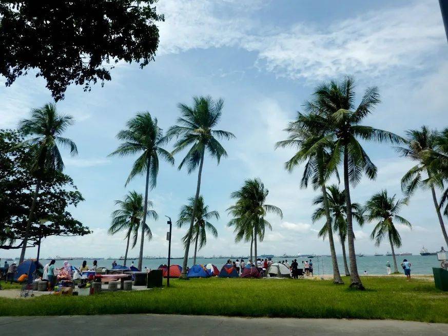 玩膩了遊樂場？來新加坡這7個地方放風筝吧，給孩子難忘的童年回憶