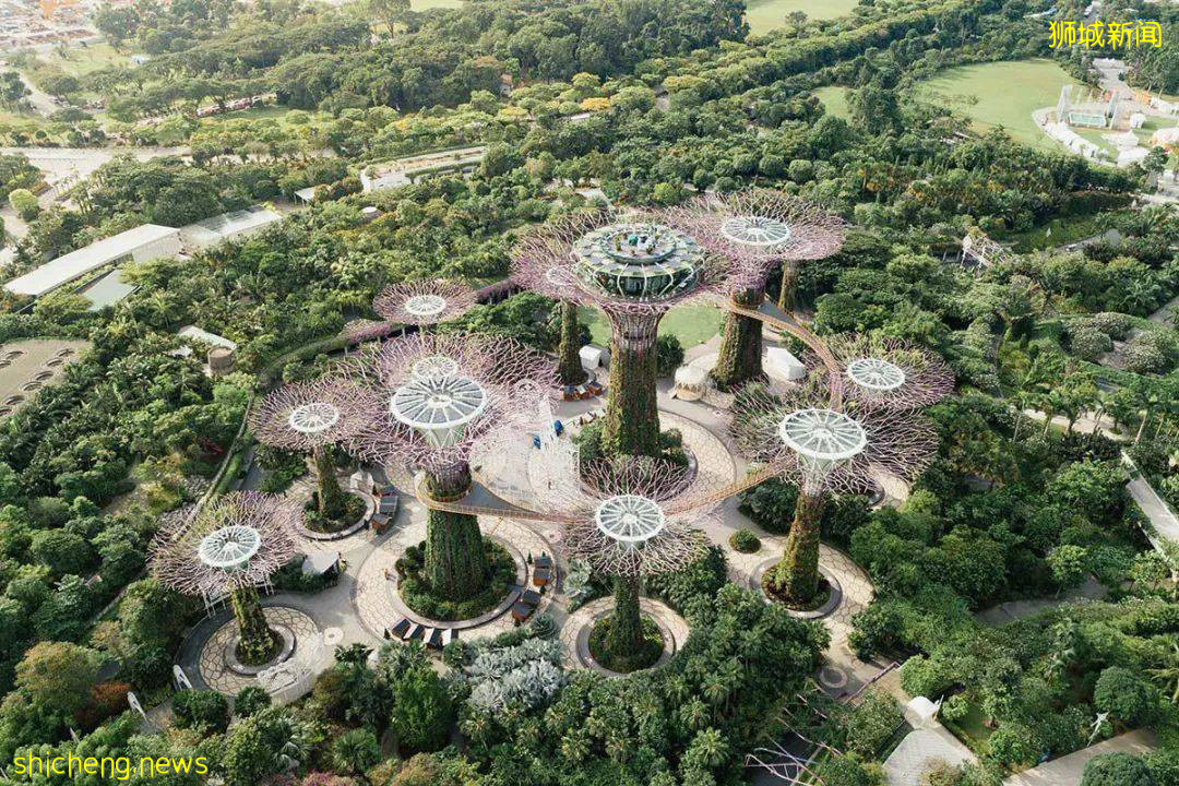 突发!神秘新变种病毒现身,新加坡紧急调整边境政策!亚洲股市暴跌