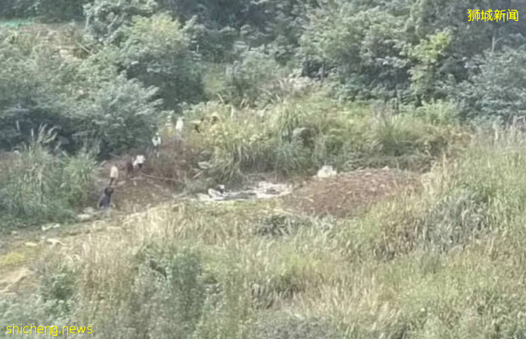 中國駐新加坡大使館最新通知！有人回國瞞報、不閉環隔離、違法中介