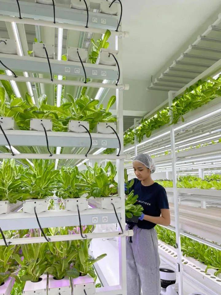 新航日本籍空姐講述被裁員的過程,她們還好嗎