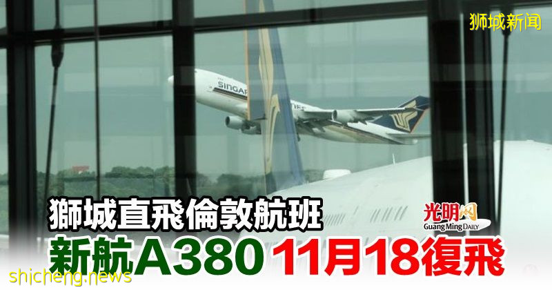 獅城直飛倫敦航班 新航A380 11月18複飛