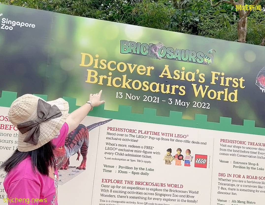 门票6折！一只恐龙有多大？亚洲首个积木恐龙世界，超过60只在新加坡动物园和河川生态园与你捉迷藏