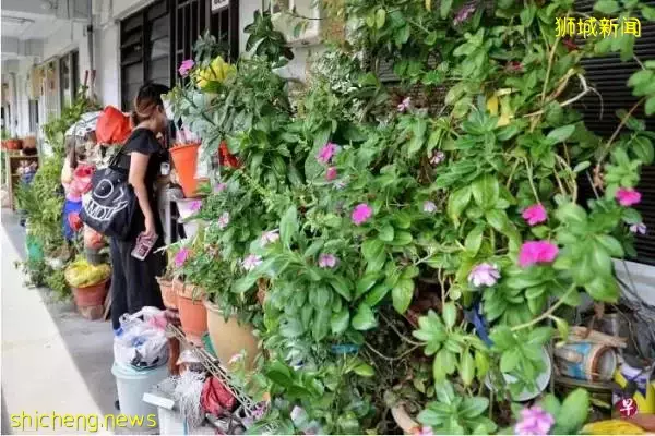 邻居“垃圾”堆走廊  阿叔：火患怎么办