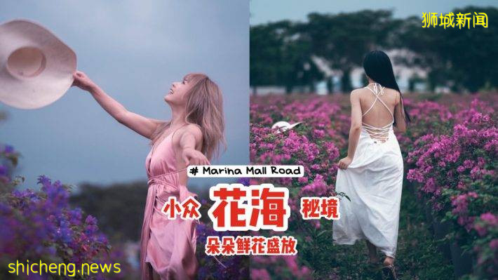 小众花海秘境Marina Mall Road📍鲜花朵朵盛放、自带美颜效果，拎上相机打卡去📷