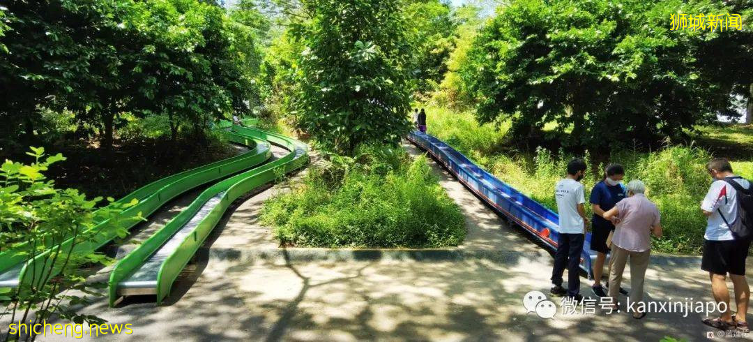 遛娃圣地海军部公园,超多大滑梯,大人孩子一起嗨