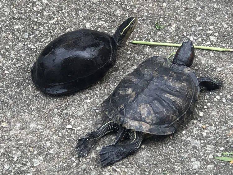 精彩国内游:新加坡南部岛屿休闲之旅