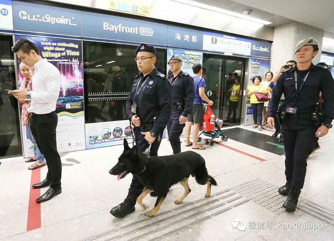 注意自查!新加坡9万人隐私疑遭泄露,包括身份证银行卡号