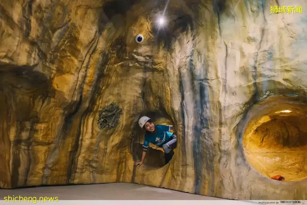 上天下地太刺激!新加坡北部新开乐园,肾上腺素疯狂飙升