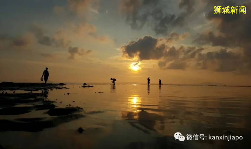 新加坡昨夜达30度气温,气象局预测8月将持续高温