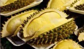 榴梿季到!泰國和馬來西亞的榴梿誰家的最好吃