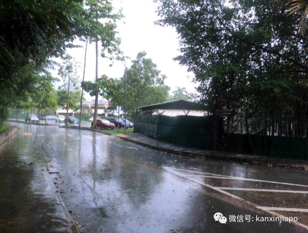 谢谢您,新加坡的那个陌生人