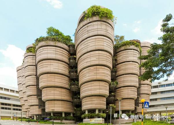 3亿新币买下乌节路整栋20层公寓买家浮出水面,原来是这对父子