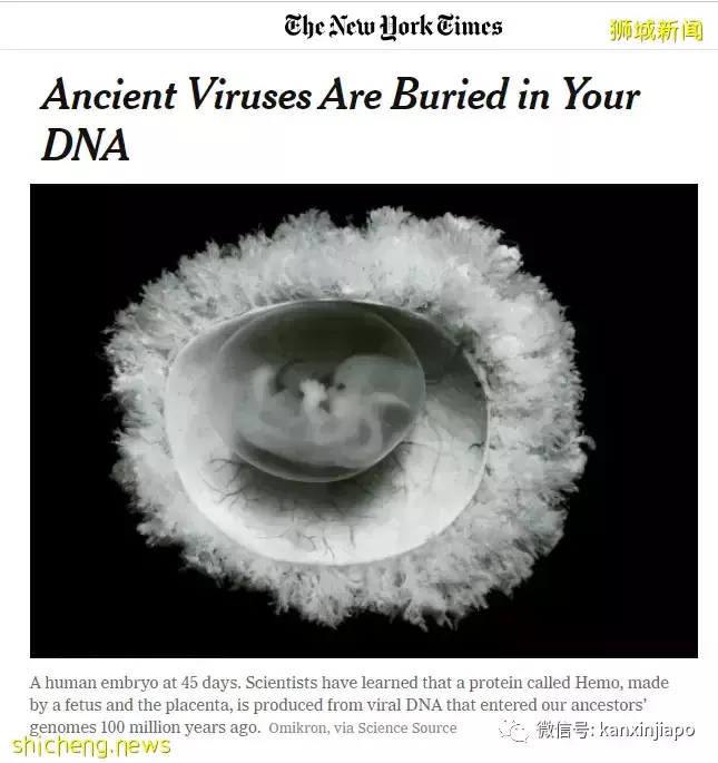 新冠疫情没有结束,更不会有胜利;眼前还有三个世纪大挑战